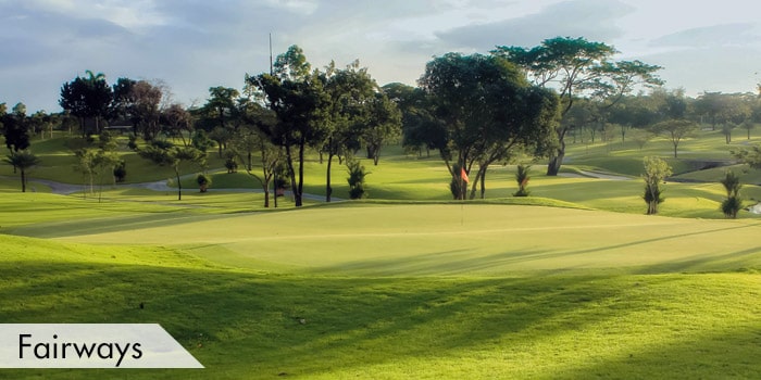 MANILA GOLF 2-min